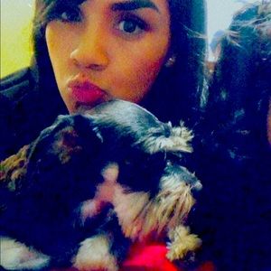 Meet your Posher, Socorro